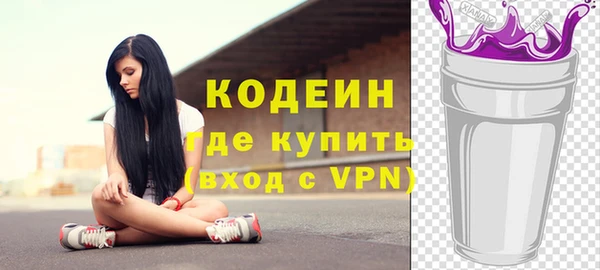 молекула духа Пестово