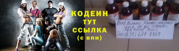 молекула духа Пестово
