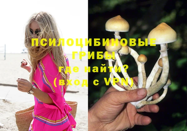 молекула духа Пестово