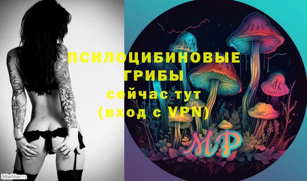 молекула духа Пестово