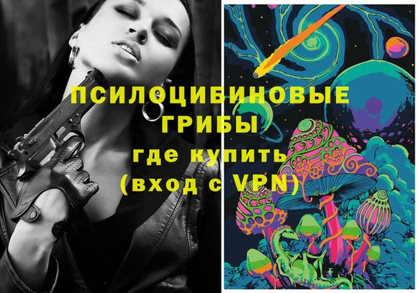 молекула духа Пестово