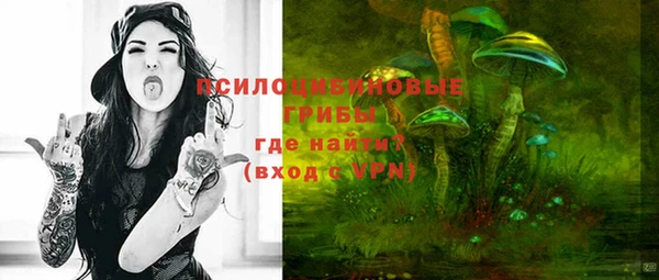 mdpv Переславль-Залесский