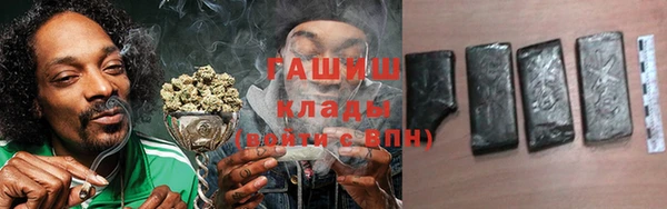 молекула духа Пестово