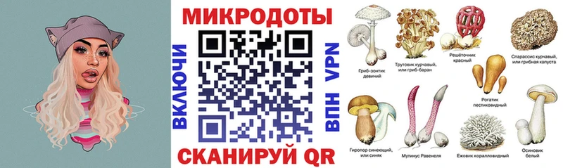 Галлюциногенные грибы Psilocybe  Рудня 